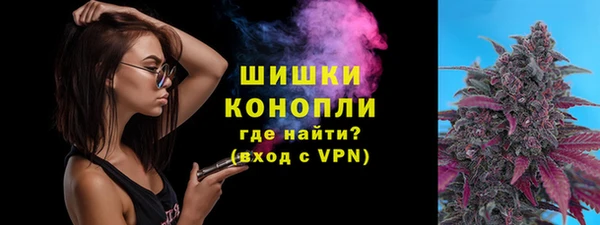 индика Ахтубинск