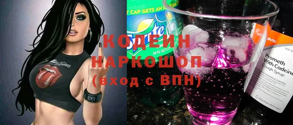 крисы Баксан