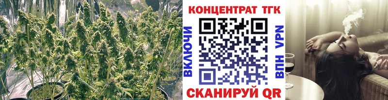 ТГК жижа  дарнет шоп  площадка клад  Шарья 