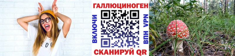 где купить наркоту  Шарья  Псилоцибиновые грибы мицелий 